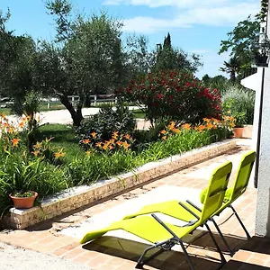Relax Zone Apartment